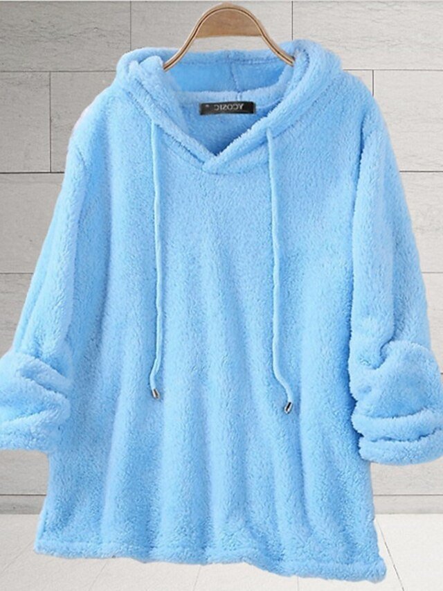 Basic Casual Fleece Plain Hooded Long Sleeve Hoodie - Image 1