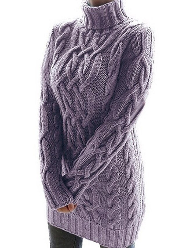 Basic Regular Fit Solid Turtleneck Long Sleeve Sweater Dress - Image 1
